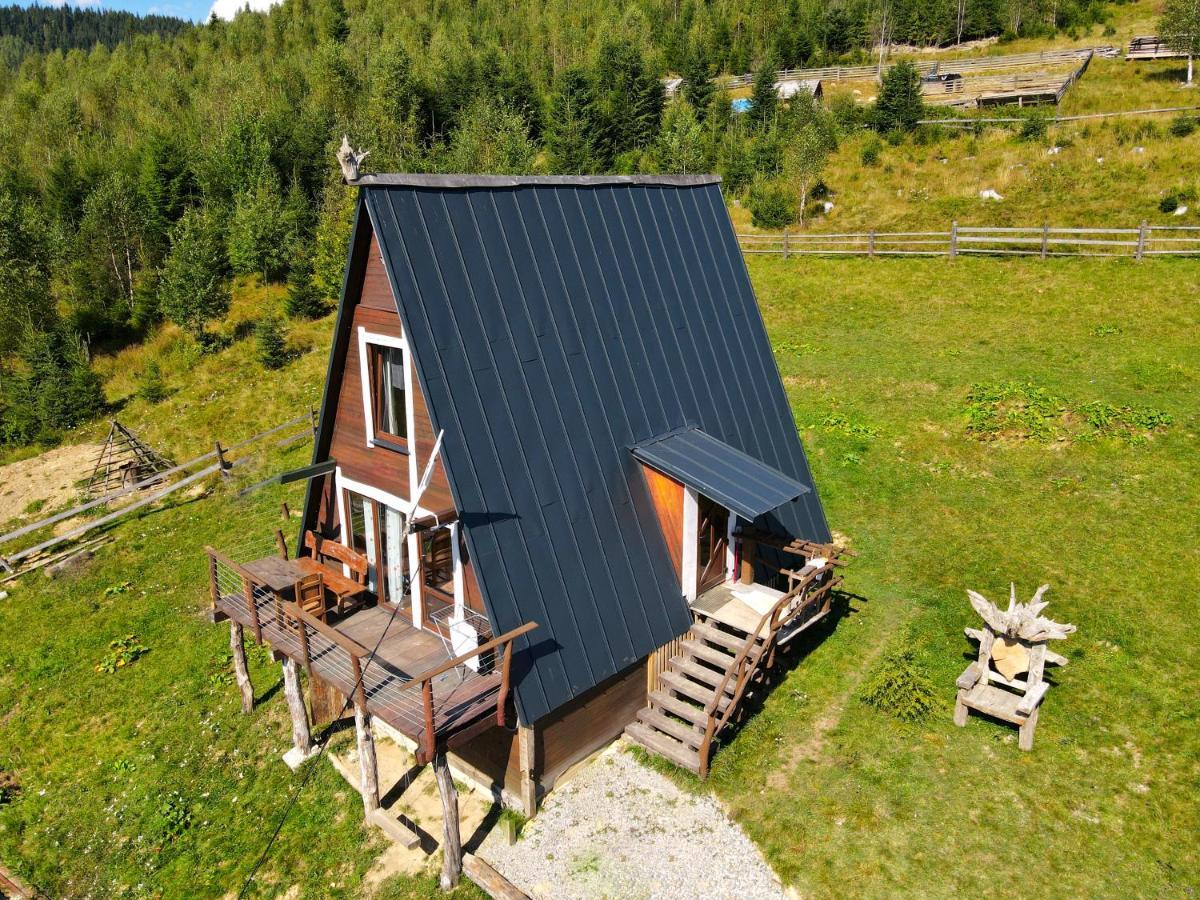 Apartament Oak House Polanica Zewnętrze zdjęcie