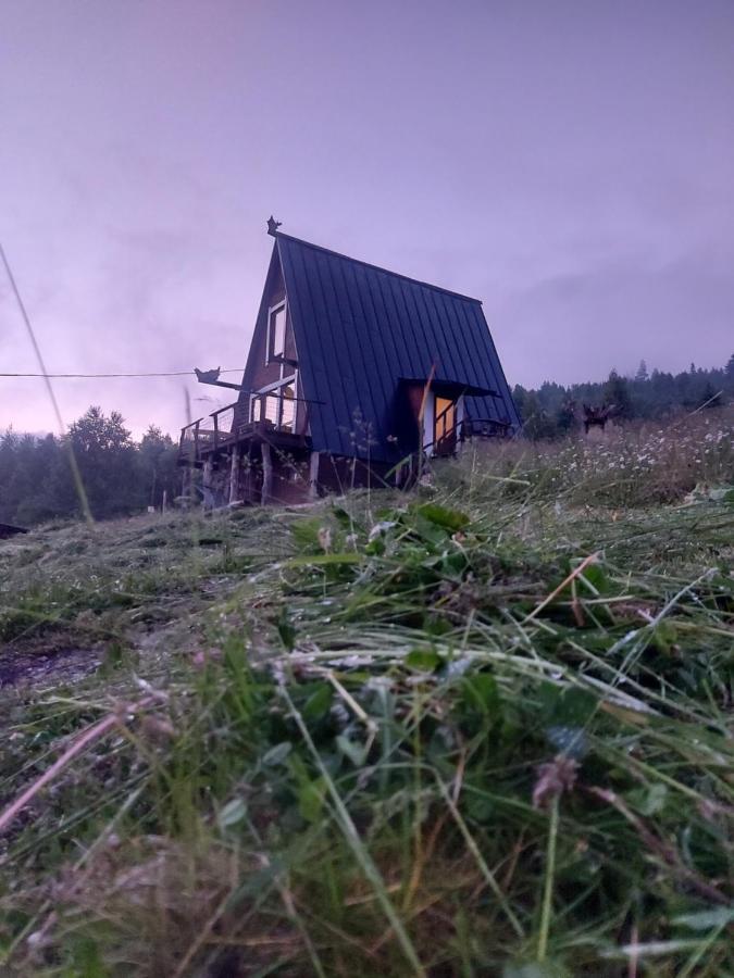 Apartament Oak House Polanica Zewnętrze zdjęcie